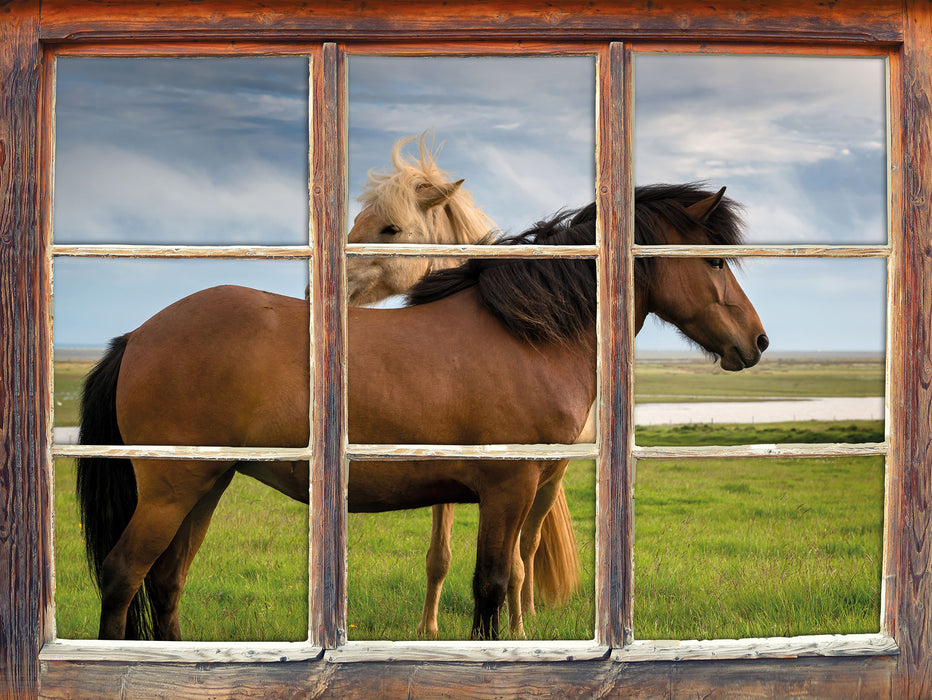 zwei Pferde auf der Wiese  3D Wandtattoo Fenster