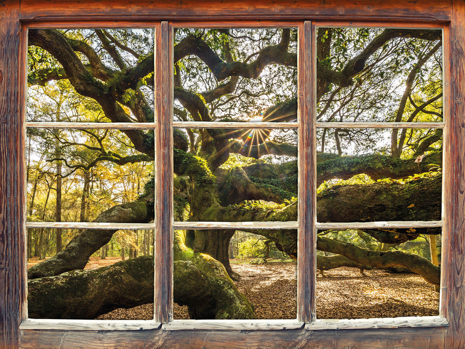 gigantisch verzweigter Baum 3D Wandtattoo Fenster