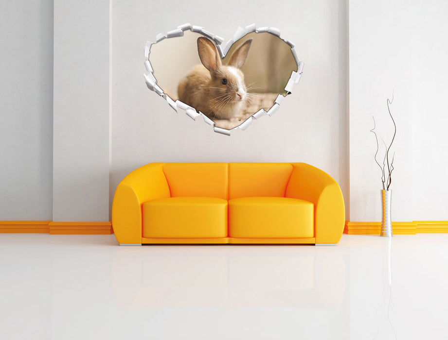 Süßes Kaninchen 3D Wandtattoo Herz Wand