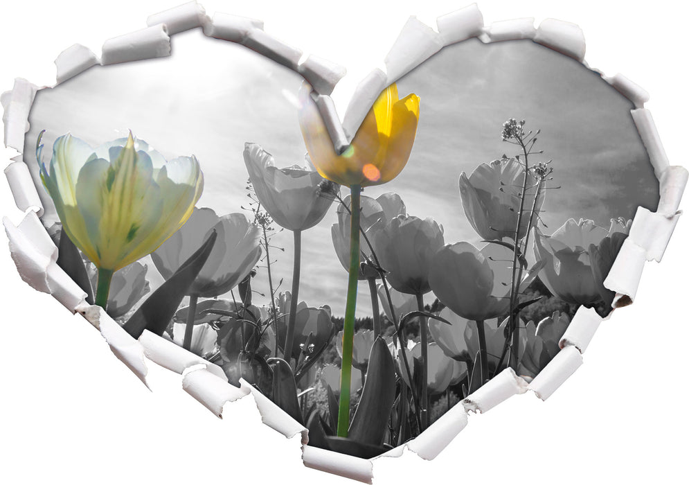 wunderschöne Tulpenwiese 3D Wandtattoo Herz