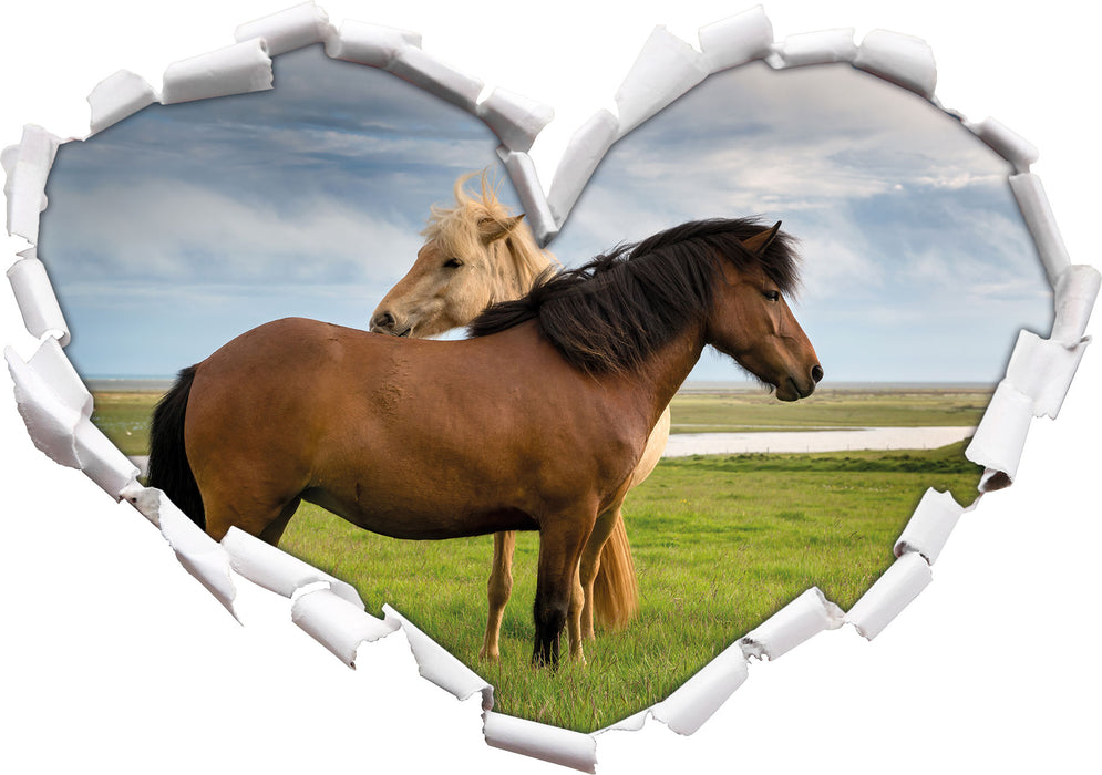 zwei Pferde auf der Wiese  3D Wandtattoo Herz