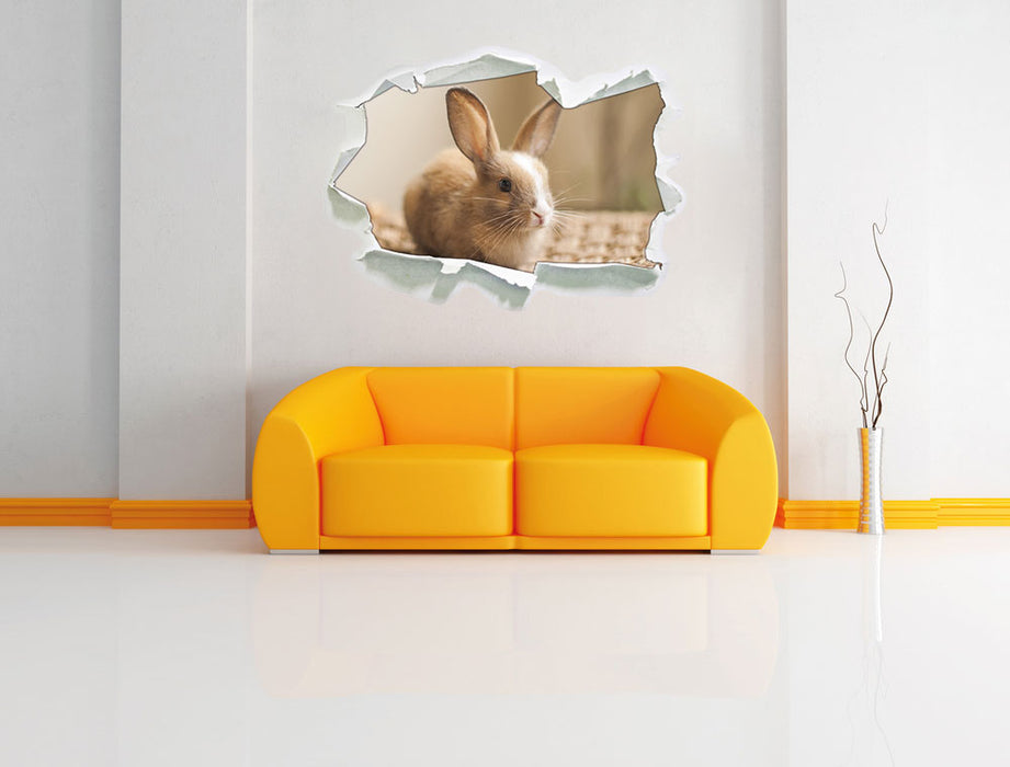 Süßes Kaninchen 3D Wandtattoo Papier Wand