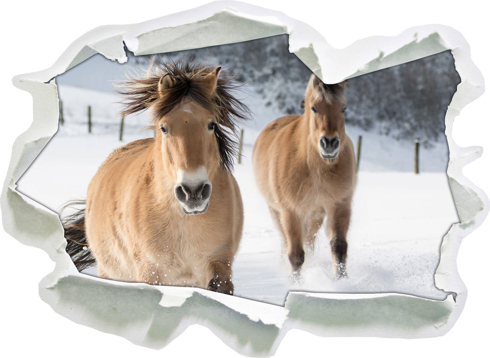 Pferd im Schnee  3D Wandtattoo Papier