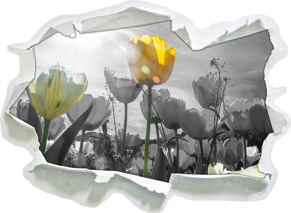 wunderschöne Tulpenwiese 3D Wandtattoo Papier