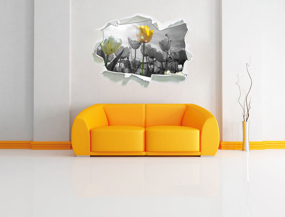 wunderschöne Tulpenwiese 3D Wandtattoo Papier Wand