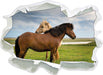 zwei Pferde auf der Wiese  3D Wandtattoo Papier