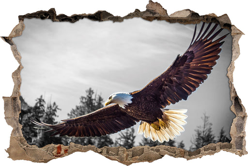 großer fliegender Adler 3D Wandtattoo Wanddurchbruch