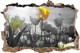 wunderschöne Tulpenwiese 3D Wandtattoo Wanddurchbruch