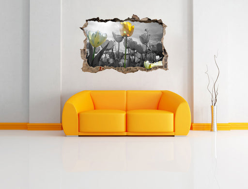 wunderschöne Tulpenwiese 3D Wandtattoo Wanddurchbruch Wand