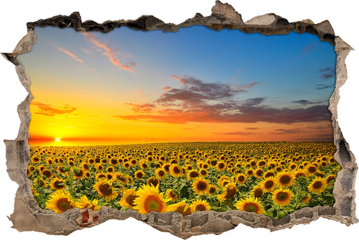 Sonnenuntergang Sonnenblumen  3D Wandtattoo Wanddurchbruch