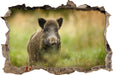 Stolzes Wildschwein im Wald 3D Wandtattoo Wanddurchbruch