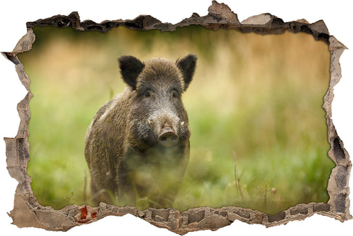 Stolzes Wildschwein im Wald 3D Wandtattoo Wanddurchbruch