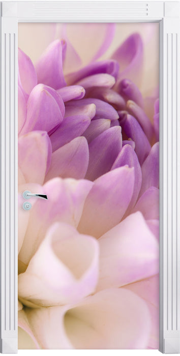 Traumhafte lila weiße Blüte Türaufkleber