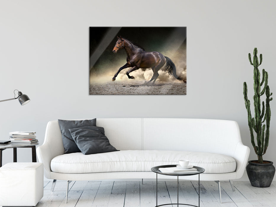 Anmutiges dunkles Pferd, Glasbild