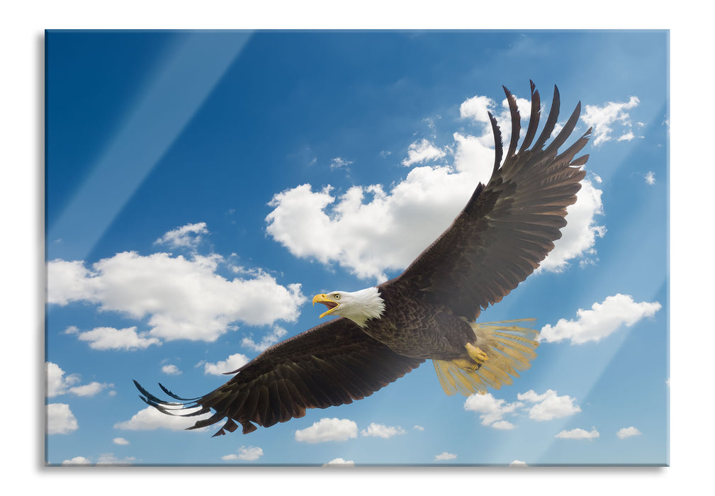 Adler fliegt über Berge, Glasbild