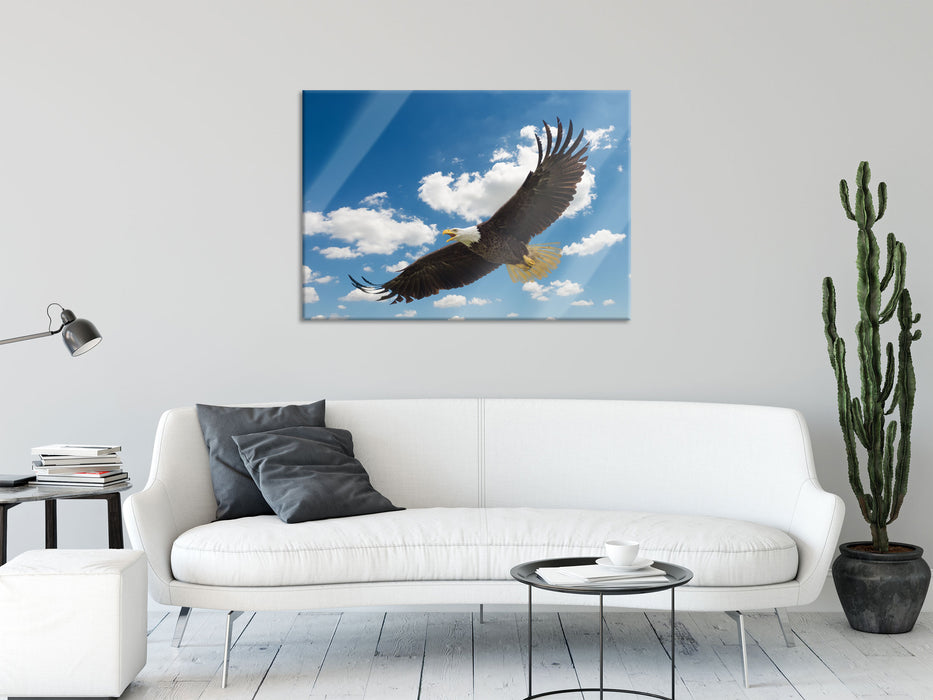 Adler fliegt über Berge, Glasbild