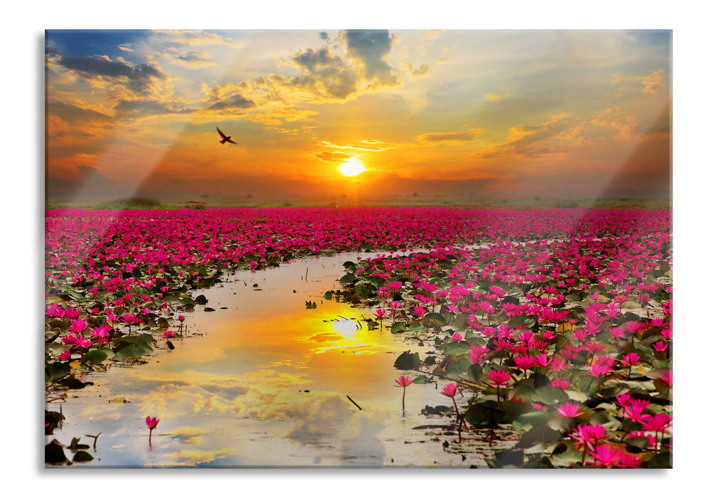 Lotusblüten am See, Glasbild