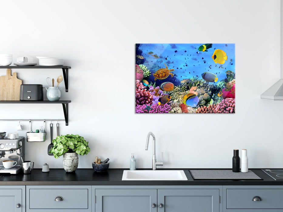 Fische über Korallenriff, Glasbild