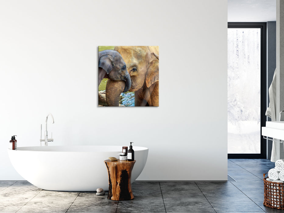 Elefantenmutter mit Kalb, Glasbild Quadratisch