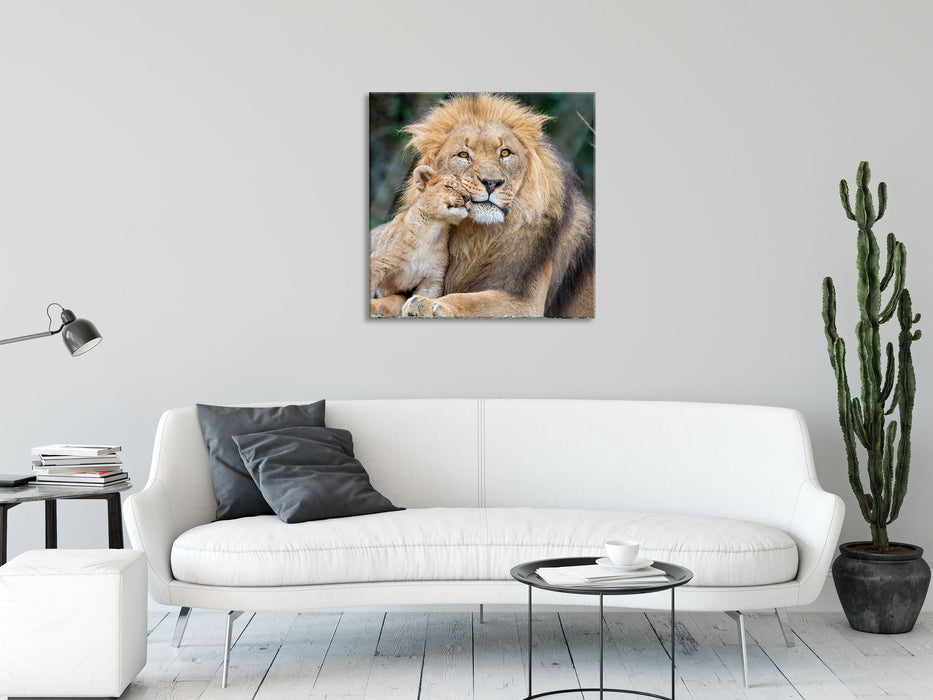 schöner Löwe mit Jungtier, Glasbild Quadratisch