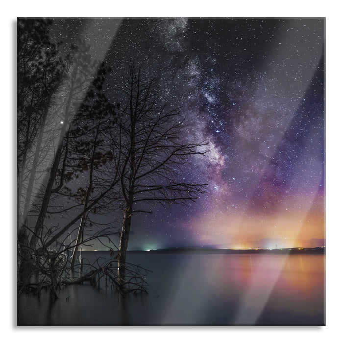 Bäume am See in sternenklarer Nacht B&W Detail, Glasbild Quadratisch