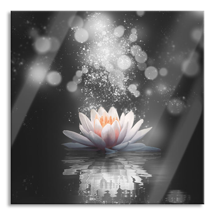 Magische Lotusblüte mit Glitzerstaub B&W Detail, Glasbild Quadratisch