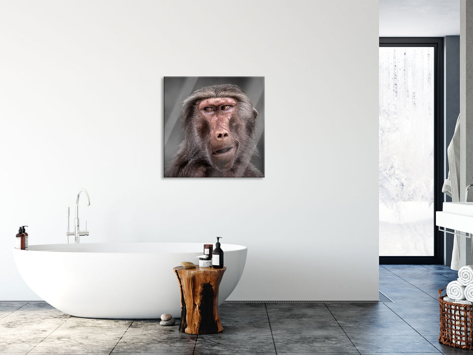 Skeptischer Affe schielt zur Seite B&W Detail, Glasbild Quadratisch