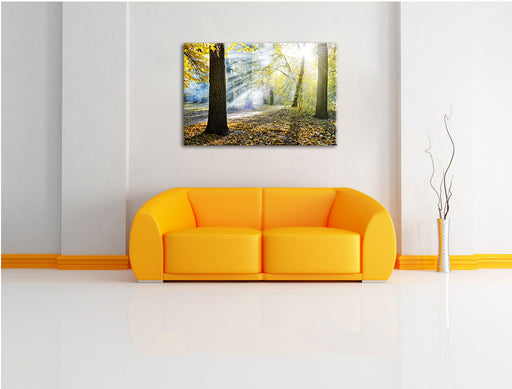 Sonnenstrahlen im Wald Leinwandbild über Sofa