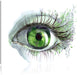 Grünes Auge Leinwandbild