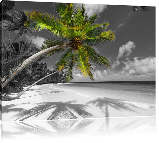 riesige Palme über Strand Leinwandbild
