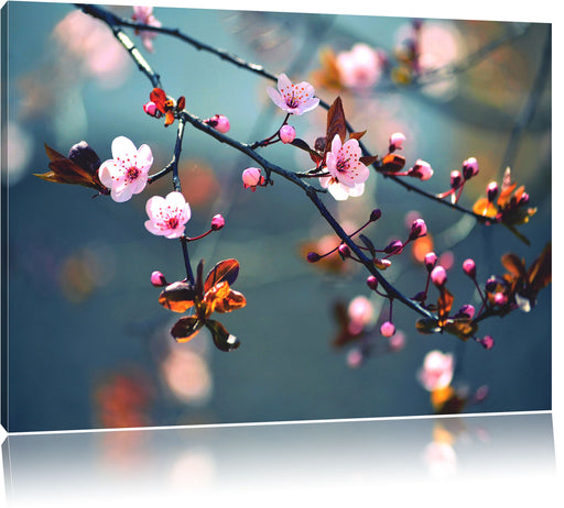 Sakura Blüten Leinwandbild