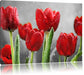 Rote Tulpen mit Tropfen bedeckt Leinwandbild