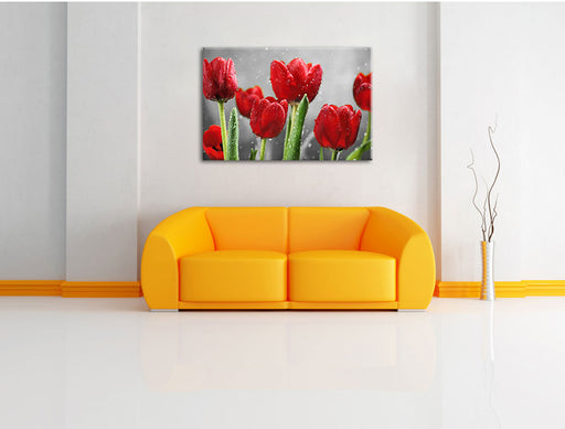 Rote Tulpen mit Tropfen bedeckt Leinwandbild über Sofa