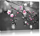 Exotische Sakura Blüten Leinwandbild