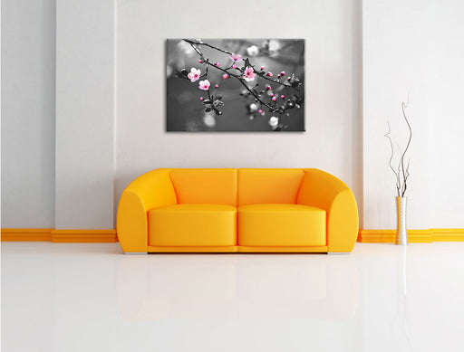 Exotische Sakura Blüten Leinwandbild über Sofa