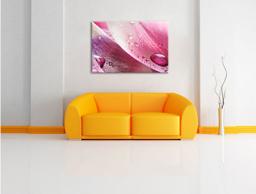 Tulpenbläter Leinwandbild über Sofa