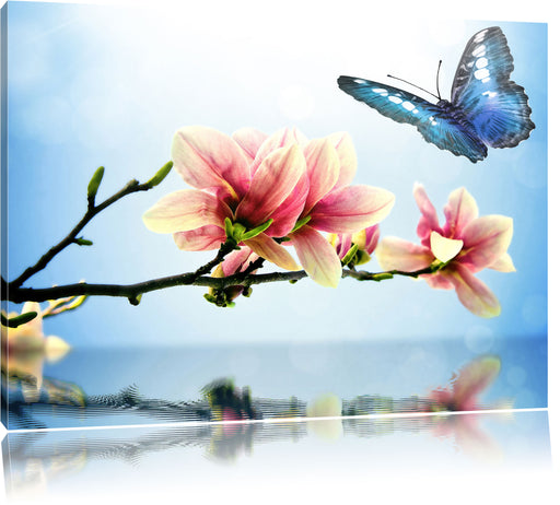 Schmetterling mit Magnolien-Blüte Leinwandbild