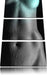 Erotischer Frauenkörper Leinwandbild 3 Teilig