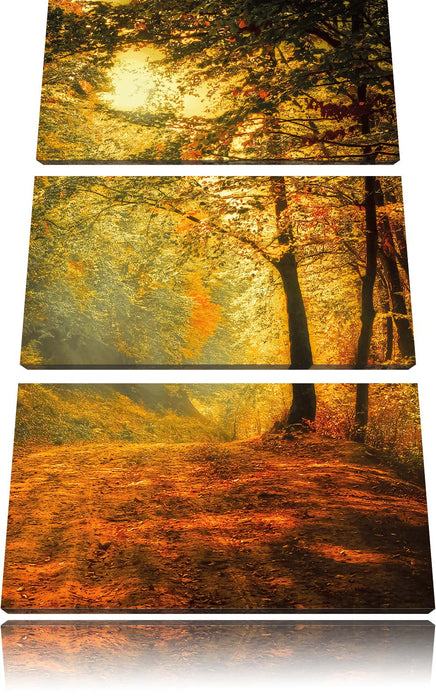 Wald im Herbst Leinwandbild 3 Teilig