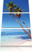 Palmen am Strand Leinwandbild 3 Teilig