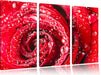 Rose mit Wassertropfen Leinwandbild 3 Teilig