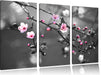 Exotische Sakura Blüten Leinwandbild 3 Teilig
