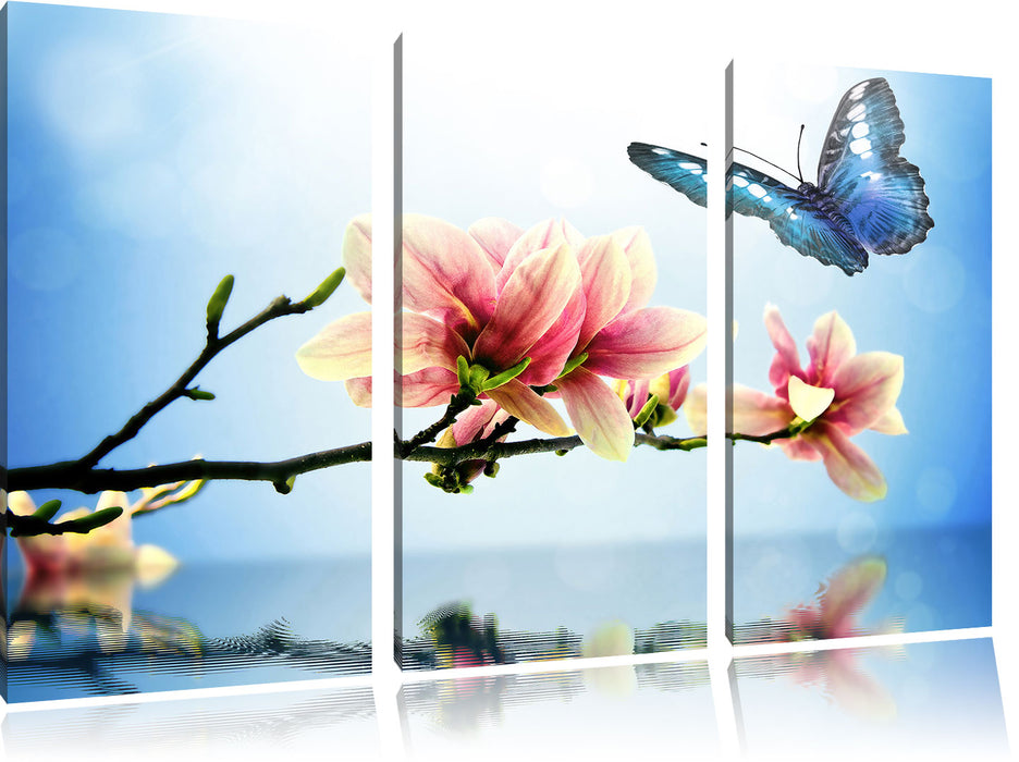Schmetterling mit Magnolien-Blüte Leinwandbild 3 Teilig