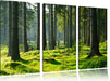 sonniger Tag im Wald Leinwandbild 3 Teilig