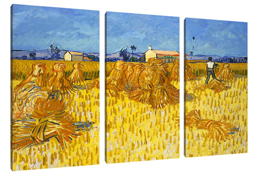 Vincent Van Gogh - Getreide-Ernte in der Provence  Leinwanbild 3Teilig