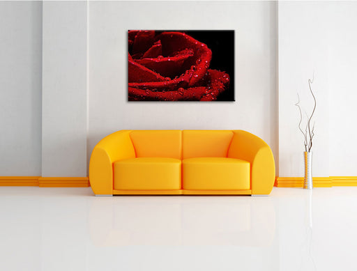 Tropfen auf roter Rose Leinwandbild über Sofa