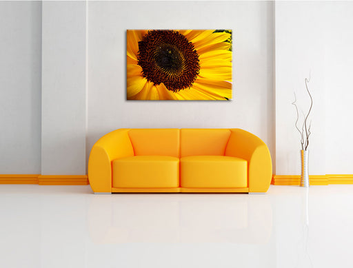 große Sonnenblume Leinwandbild über Sofa