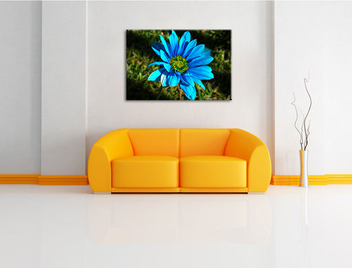 schöne blaue Blüte Leinwandbild über Sofa