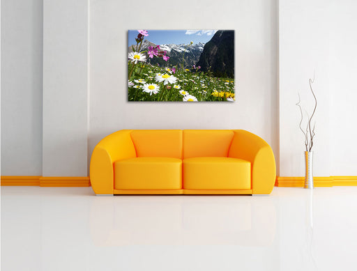 Wunderschöne Blumen Alpenwiese Leinwandbild über Sofa