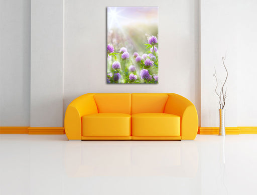 Kleeblüten im Sonnenschein Leinwandbild über Sofa